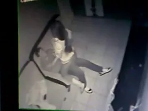 サブリナ-スワンの紹介！ 女性 専用 動 ...