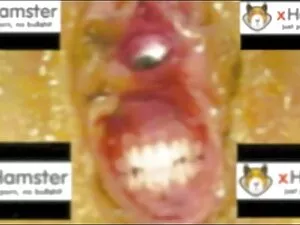 ニューロイヤル 無料 エロ 動画 女性  ...